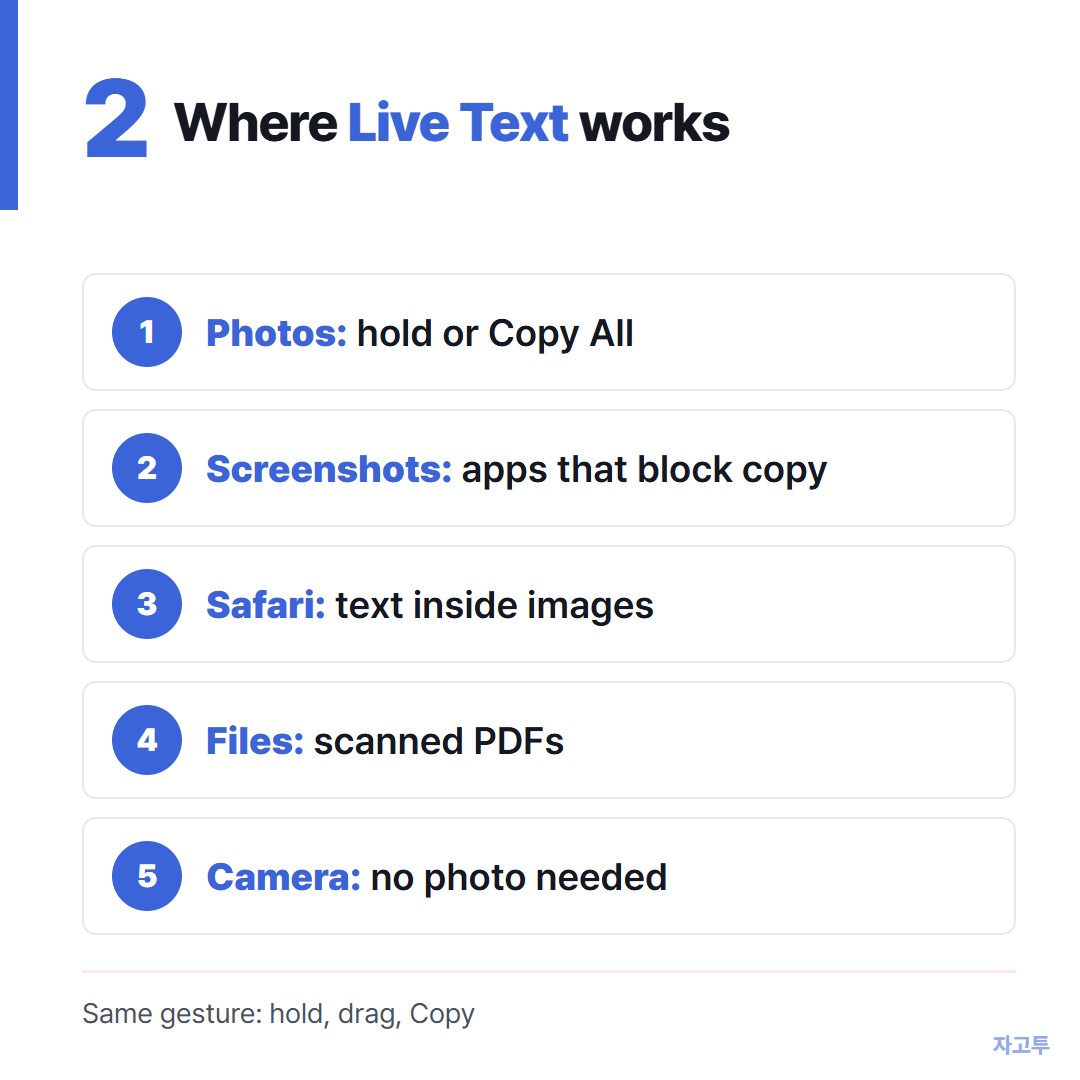 Where Live Text works on an iPhone